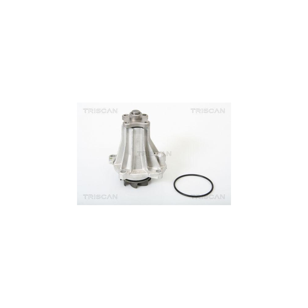 Wasserpumpe, Motorkühlung TRISCAN 8600 16919 für FORD