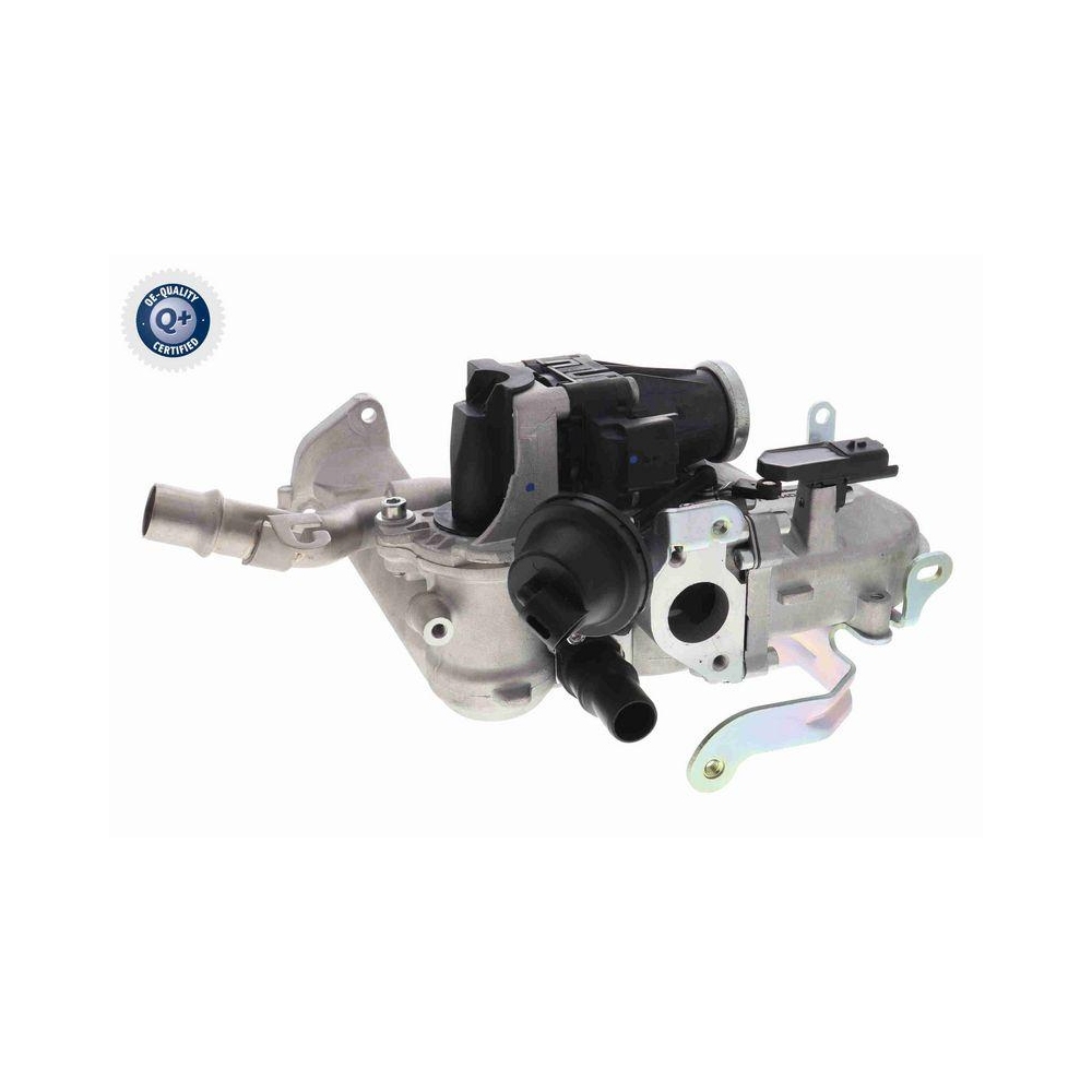 AGR-Ventil VEMO V42-63-0010 Q+, Erstausrüsterqualität für CITROËN FIAT FORD