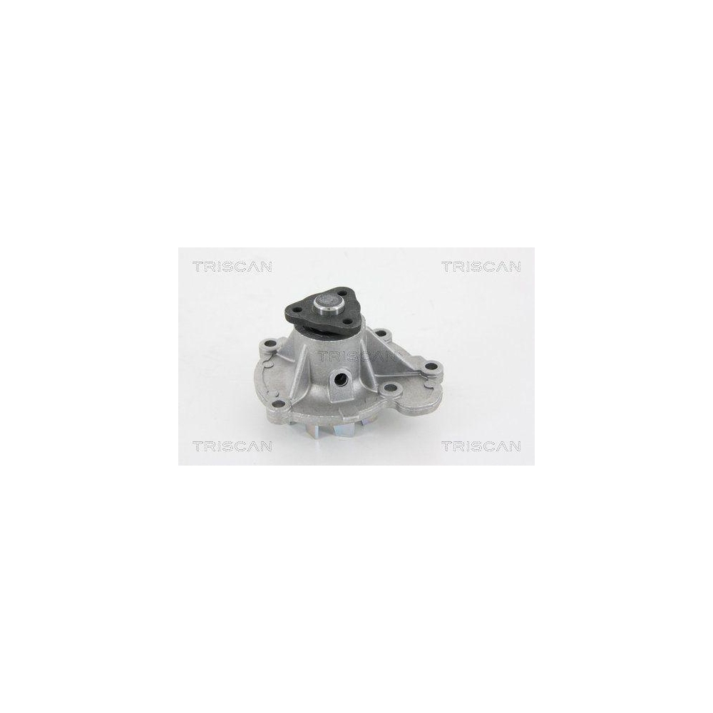 Wasserpumpe, Motorkühlung TRISCAN 8600 14003 für NISSAN