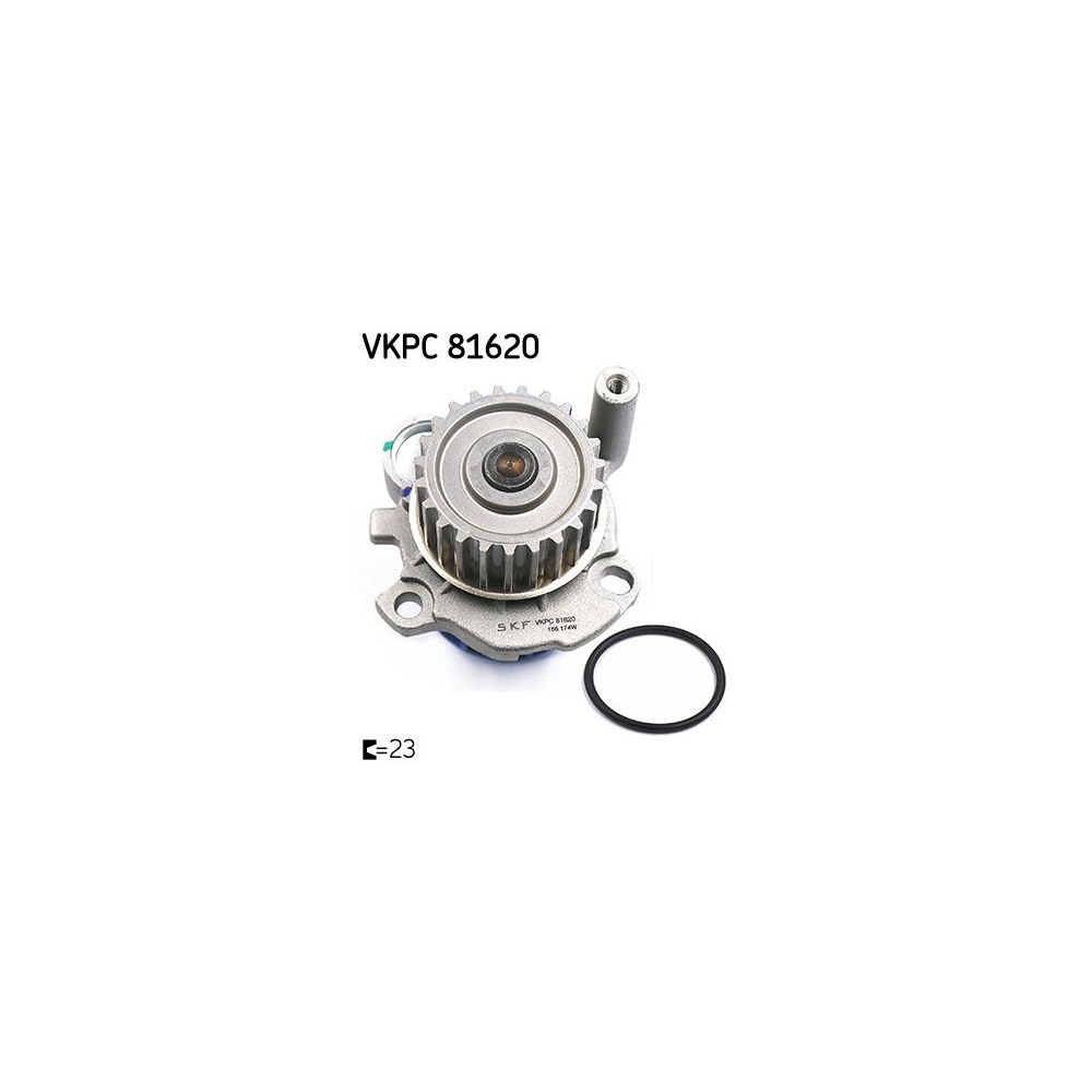 Wasserpumpe, Motorkühlung SKF VKPC 81620 für AUDI SEAT SKODA VW