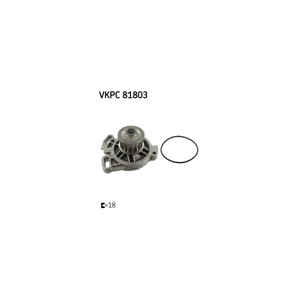 Wasserpumpe, Motorkühlung SKF VKPC 81803 für AUDI SEAT SKODA VW