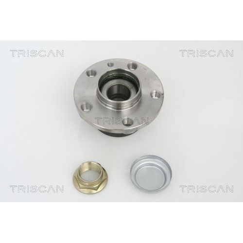 Radlagersatz TRISCAN 8530 10258 für CITROËN FIAT LANCIA PEUGEOT, Hinterachse