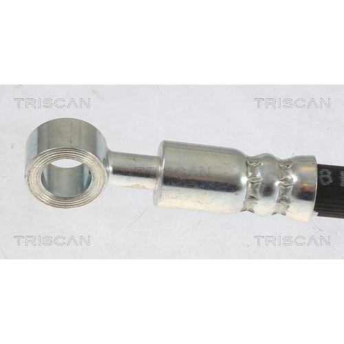 Bremsschlauch TRISCAN 8150 14231 für NISSAN, Hinterachse, außen