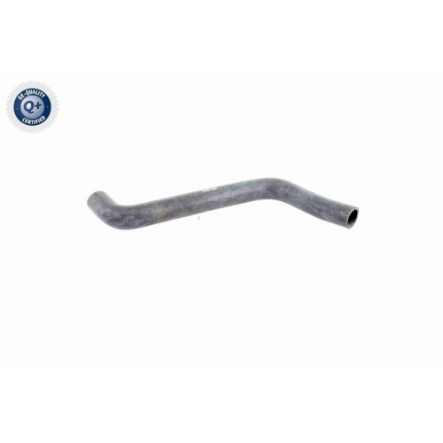 Kühlerschlauch VAICO V10-0058 Q+, Erstausrüsterqualität für AUDI SEAT SKODA VW