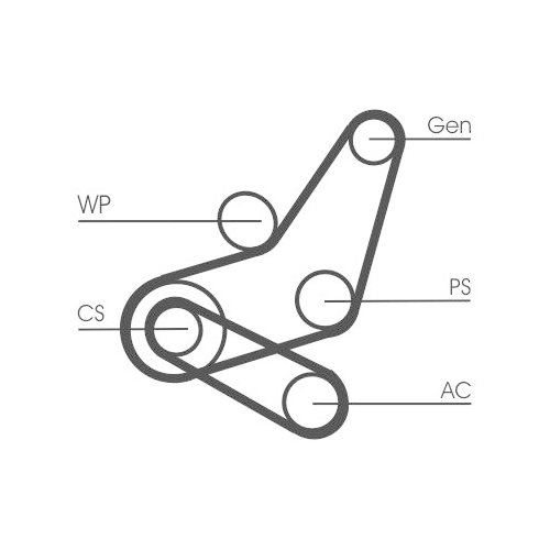 Keilrippenriemensatz CONTINENTAL CTAM 6PK1059 ELAST T2 für FORD