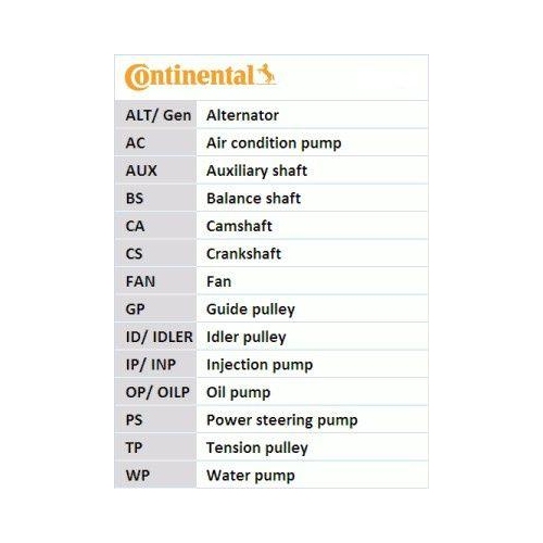 Keilrippenriemensatz CONTINENTAL CTAM 6PK1019 ELAST T1 für FORD MAZDA