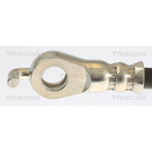 Bremsschlauch TRISCAN 8150 132024 für TOYOTA LEXUS, Hinterachse, außen