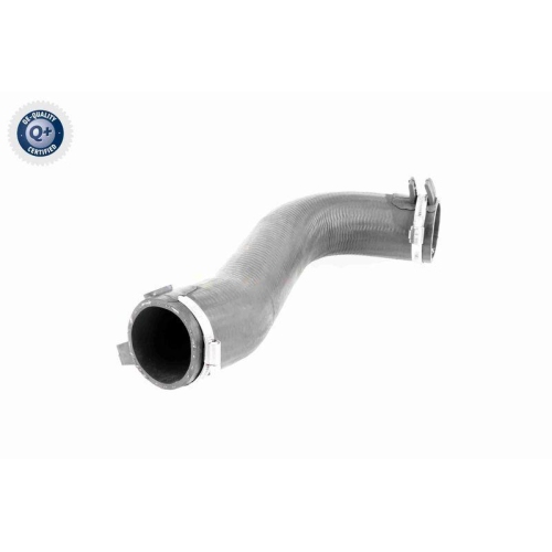 Ladeluftschlauch VAICO V42-0584 Q+, Erstausrüsterqualität für FIAT PEUGEOT