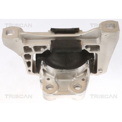 Lagerung, Motor TRISCAN 8505 10100 für FORD VOLVO, rechts