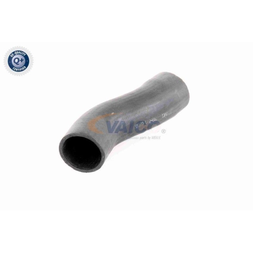 Ladeluftschlauch VAICO V42-0592 Q+, Erstausrüsterqualität für ALFA ROMEO FIAT