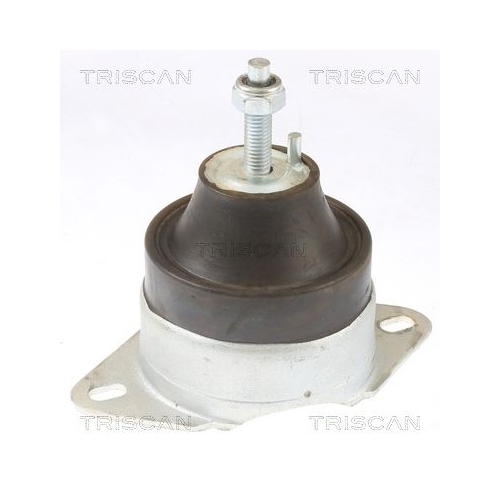 Lagerung, Motor TRISCAN 8505 10119 für CITROËN FIAT LANCIA PEUGEOT, rechts