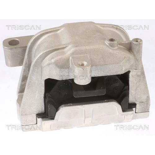 Lagerung, Motor TRISCAN 8505 29124 für AUDI SEAT SKODA VW, hinten, rechts