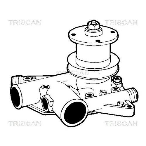 Wasserpumpe, Motorkühlung TRISCAN 8600 25080 für RENAULT