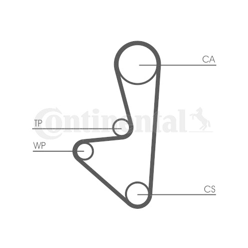 Zahnriemen CONTINENTAL CTAM CT1067 für CITROËN FIAT PEUGEOT