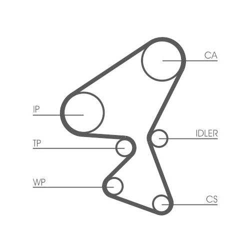 Zahnriemen CONTINENTAL CTAM CT1063 für CITROËN FIAT FORD MAZDA PEUGEOT SUZUKI