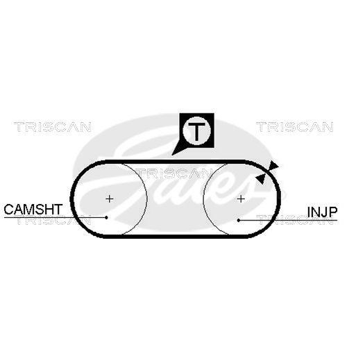 Zahnriemen TRISCAN 8645 5034 für AUDI VOLVO VW PEGASO DANA