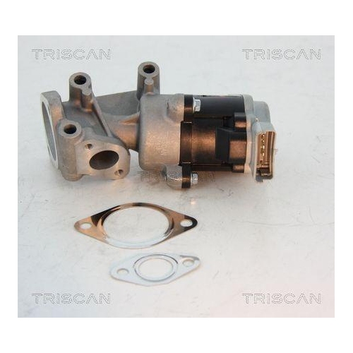 AGR-Ventil TRISCAN 8813 10008 für CITROËN JAGUAR PEUGEOT LAND ROVER, hinten