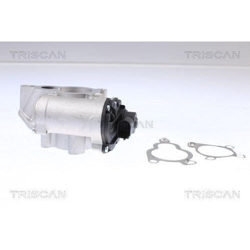 AGR-Ventil TRISCAN 8813 14025 für NISSAN