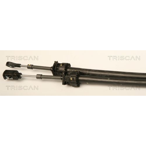 Seilzug, Schaltgetriebe TRISCAN 8140 13705 für TOYOTA