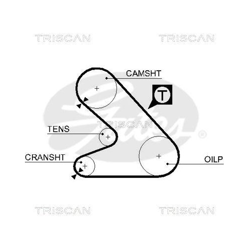 Zahnriemen TRISCAN 8645 5054 für CITROËN FIAT PEUGEOT DANA