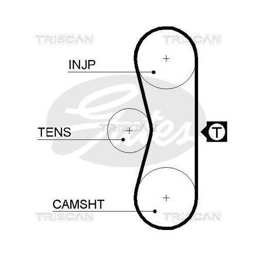 Zahnriemen TRISCAN 8645 5062 für CITROËN FIAT PEUGEOT DANA