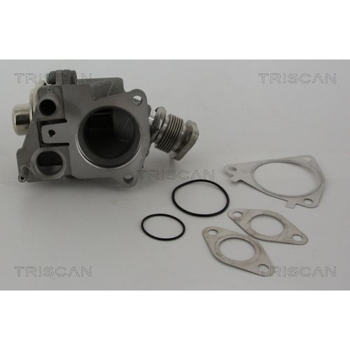 AGR-Ventil TRISCAN 8813 28019 für CITROËN FIAT IVECO PEUGEOT