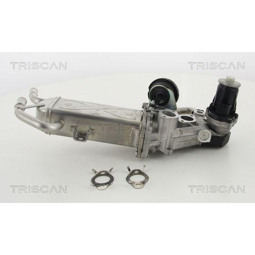 AGR-Ventil TRISCAN 8813 29325 für AUDI