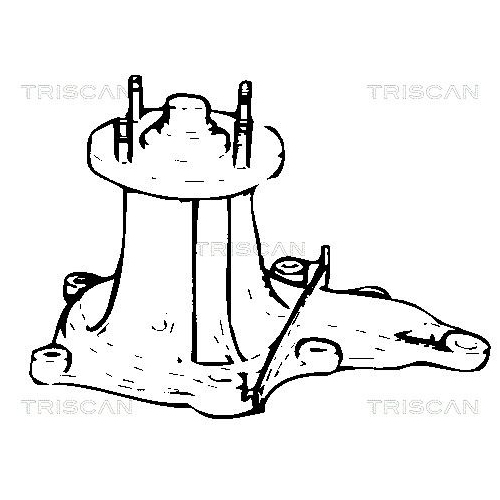 Wasserpumpe, Motorkühlung TRISCAN 8600 41854 für DAIHATSU