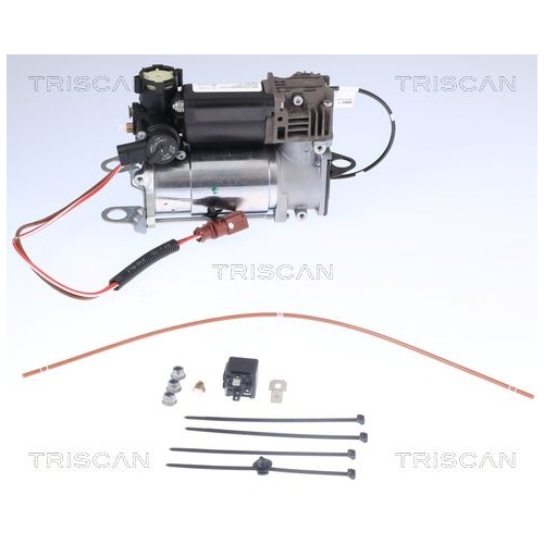 Kompressor, Druckluftanlage TRISCAN 8725 29101 für AUDI