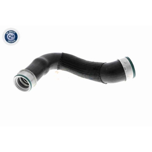 Ladeluftschlauch VAICO V10-2905 Q+, Erstausrüsterqualität für AUDI SEAT SKODA VW