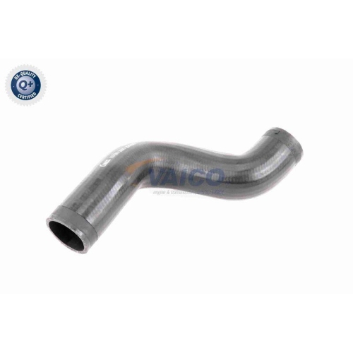 Ladeluftschlauch VAICO V10-2910 Q+, Erstausrüsterqualität für AUDI SEAT SKODA VW