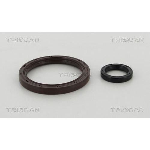 Wellendichtringsatz, Kupplung TRISCAN 8550 14001 für NISSAN