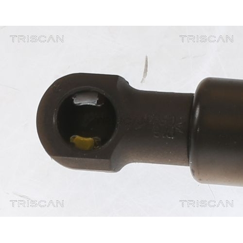 Gasfeder, Koffer-/Laderaum TRISCAN 8710 25233 für RENAULT