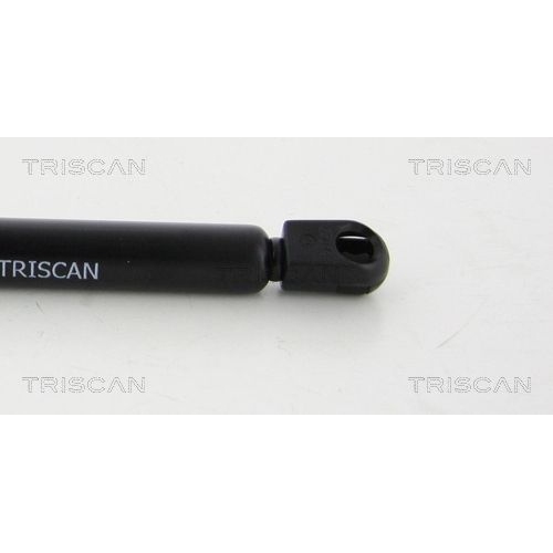 Gasfeder, Motorhaube TRISCAN 8710 44101 für SSANGYONG