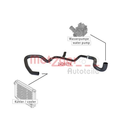 Kühlerschlauch METZGER 2420274 für CITROËN PEUGEOT, rechts unten