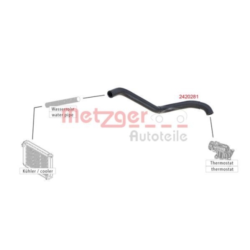 Kühlerschlauch METZGER 2420281 für CITROËN PEUGEOT