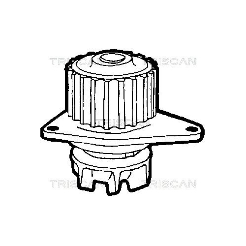 Wasserpumpe, Motorkühlung TRISCAN 8600 28844 für CITROËN PEUGEOT ROVER