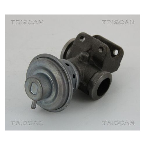 AGR-Ventil TRISCAN 8813 28013 für CITROËN FIAT PEUGEOT