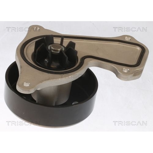 Wasserpumpe, Motorkühlung TRISCAN 8600 25095 für NISSAN RENAULT