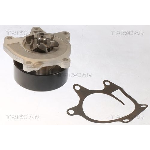 Wasserpumpe, Motorkühlung TRISCAN 8600 25097 für NISSAN RENAULT