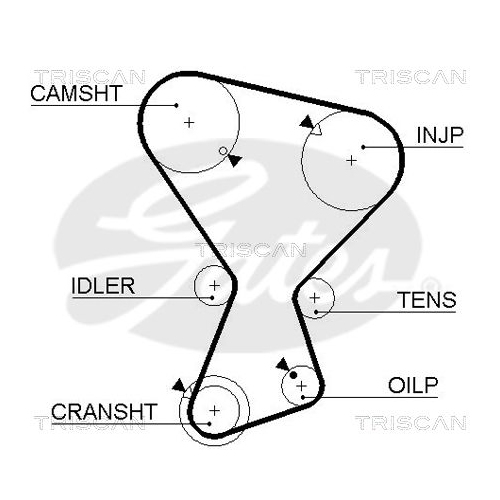 Zahnriemen TRISCAN 8645 5072 für MITSUBISHI DANA