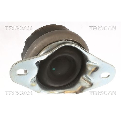 Lagerung, Motor TRISCAN 8505 10131 für CITROËN FIAT LANCIA PEUGEOT, rechts