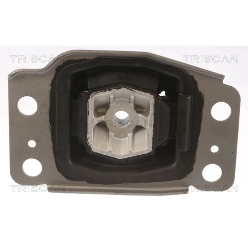 Lagerung, Motor TRISCAN 8505 10137 für FORD VOLVO FORD USA, links