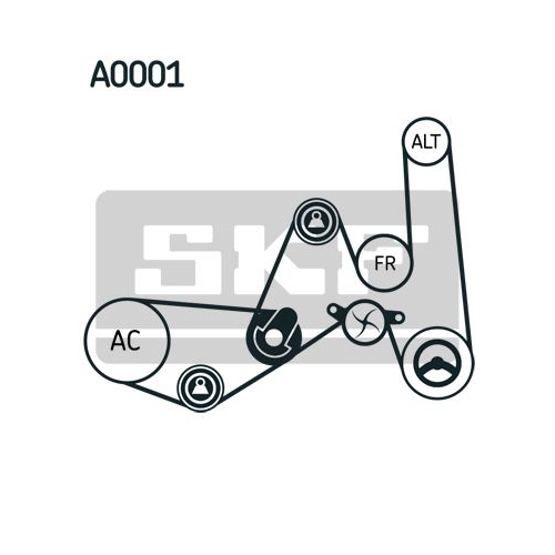 Wasserpumpe + Keilrippenriemensatz SKF VKMC 31051-1 für AUDI BMW MAZDA NISSAN VW