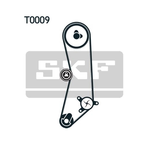 Zahnriemensatz SKF VKMA 02202 für CITROËN FIAT LANCIA PEUGEOT
