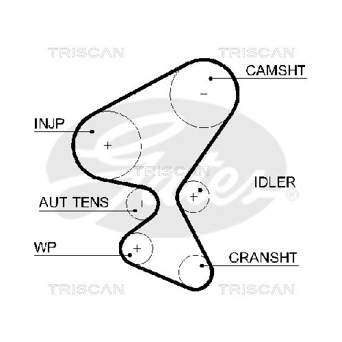 Zahnriemensatz TRISCAN 8647 10044 für CITROËN FIAT FORD PEUGEOT SUZUKI VOLVO