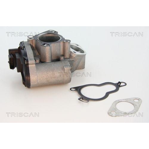 AGR-Ventil TRISCAN 8813 25203 für RENAULT