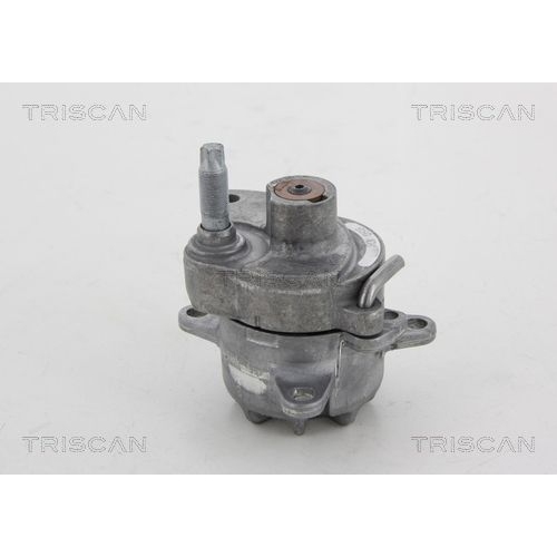 Riemenspanner, Keilrippenriemen TRISCAN 8641 232018 für MERCEDES-BENZ VW TAGAZ