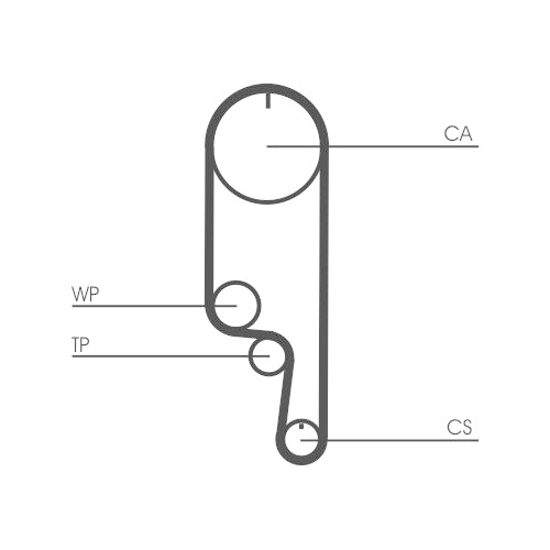 Zahnriemensatz CONTINENTAL CTAM CT1008K1