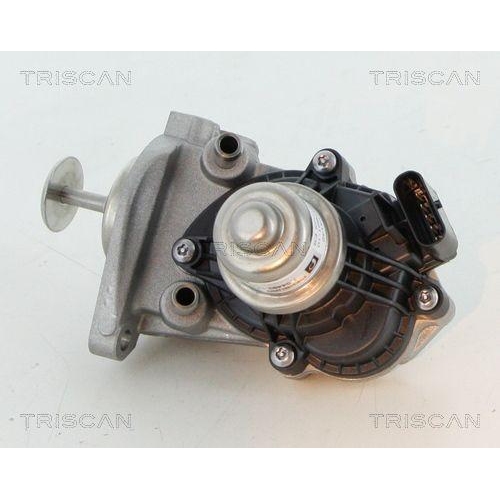 AGR-Ventil TRISCAN 8813 11007 für BMW MINI